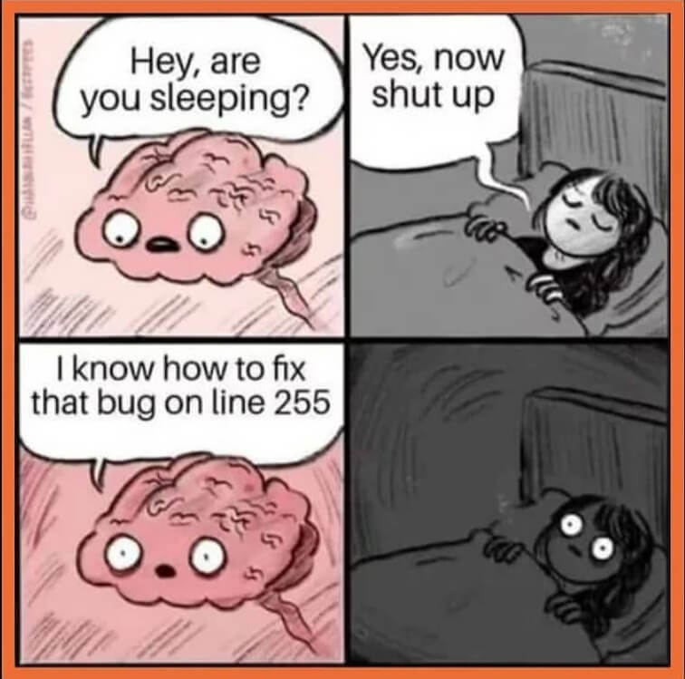 I know how to fix that bug on line 255 meme